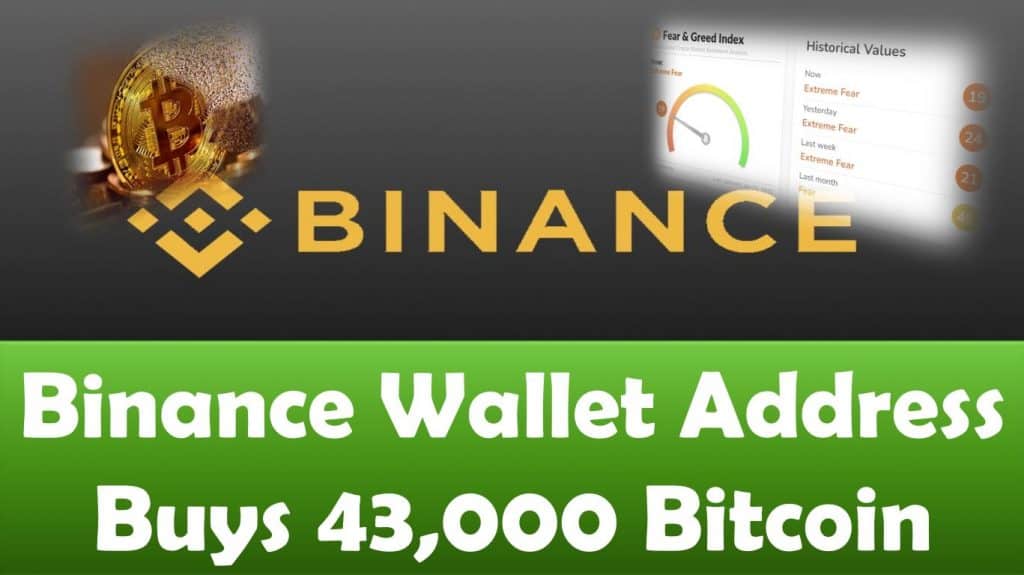 Binance Wallet Address Buys 43,000 Bitcoin
