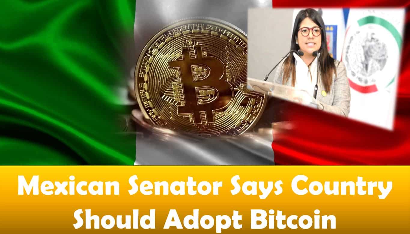 Mexican Senator Says Country Should Adopt Bitcoin