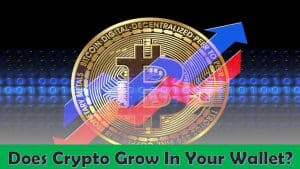 Is Your Crypto Growing While It's In Your Wallet?
