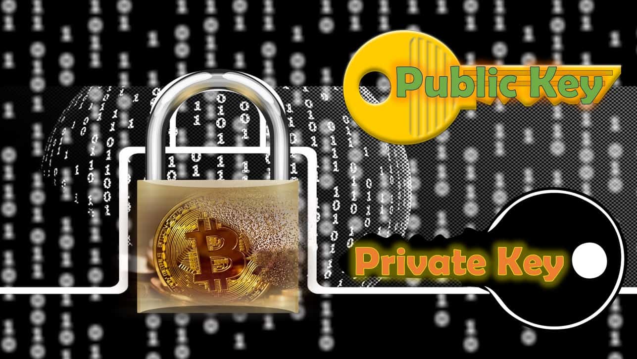 Unlock Your Crypto Wallet: Public & Private Keys Explained