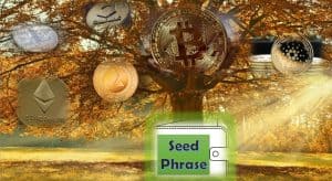 Power of Words: Decoding of a Seed Phrase